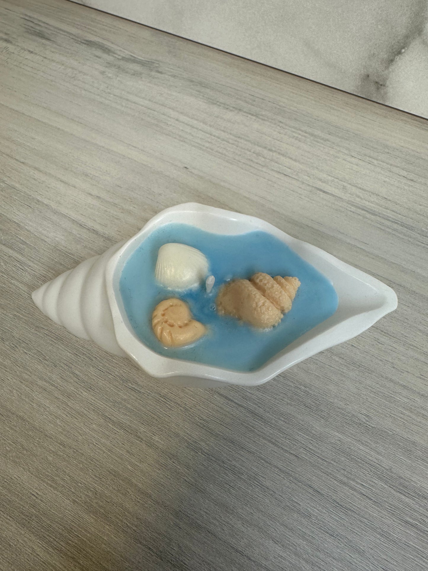 vela - CONCHA DE MAR