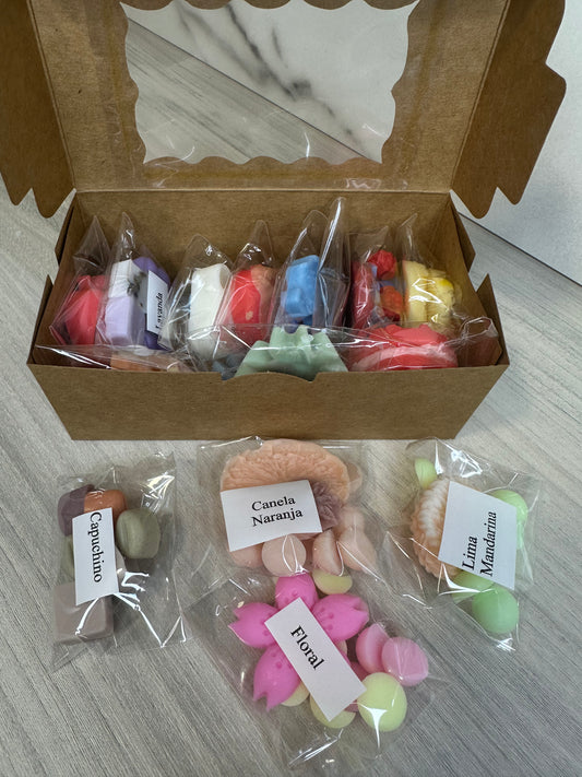 SURTIDO WAX MELTS 12 AROMAS