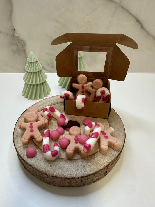 wax melts - GALLETA JENGIBRE