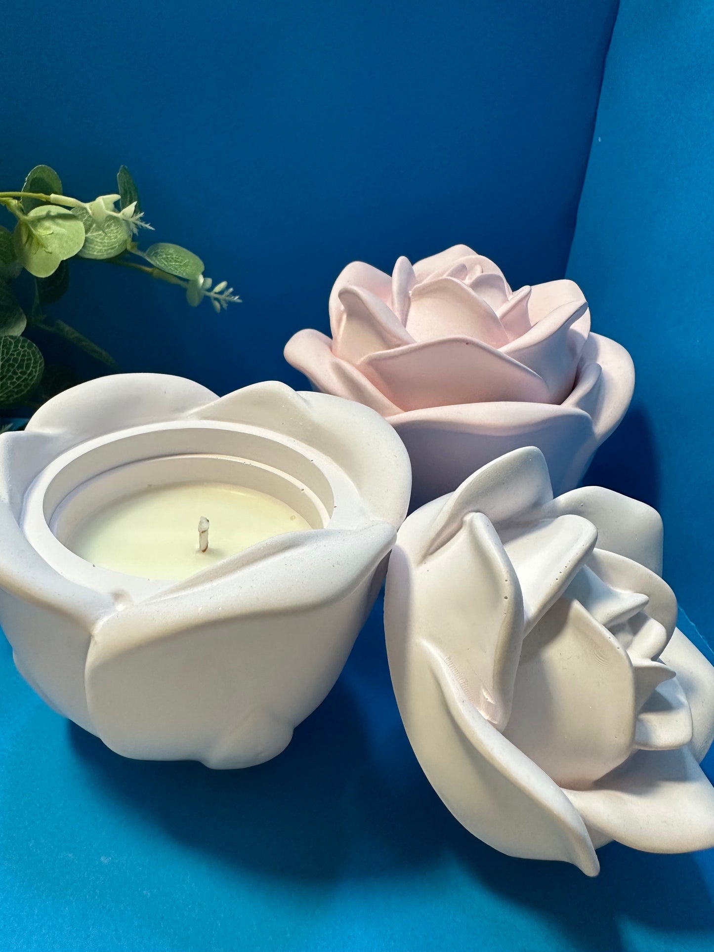 Vela - ROSA