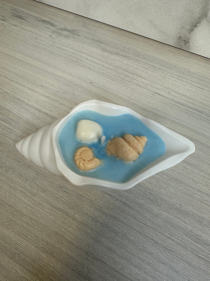 vela - CONCHA DE MAR