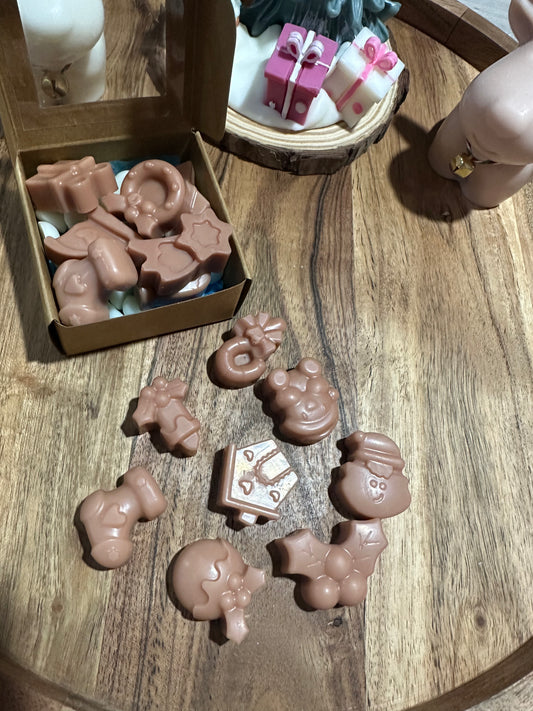 wax melt - GALLETAS DE SANTA