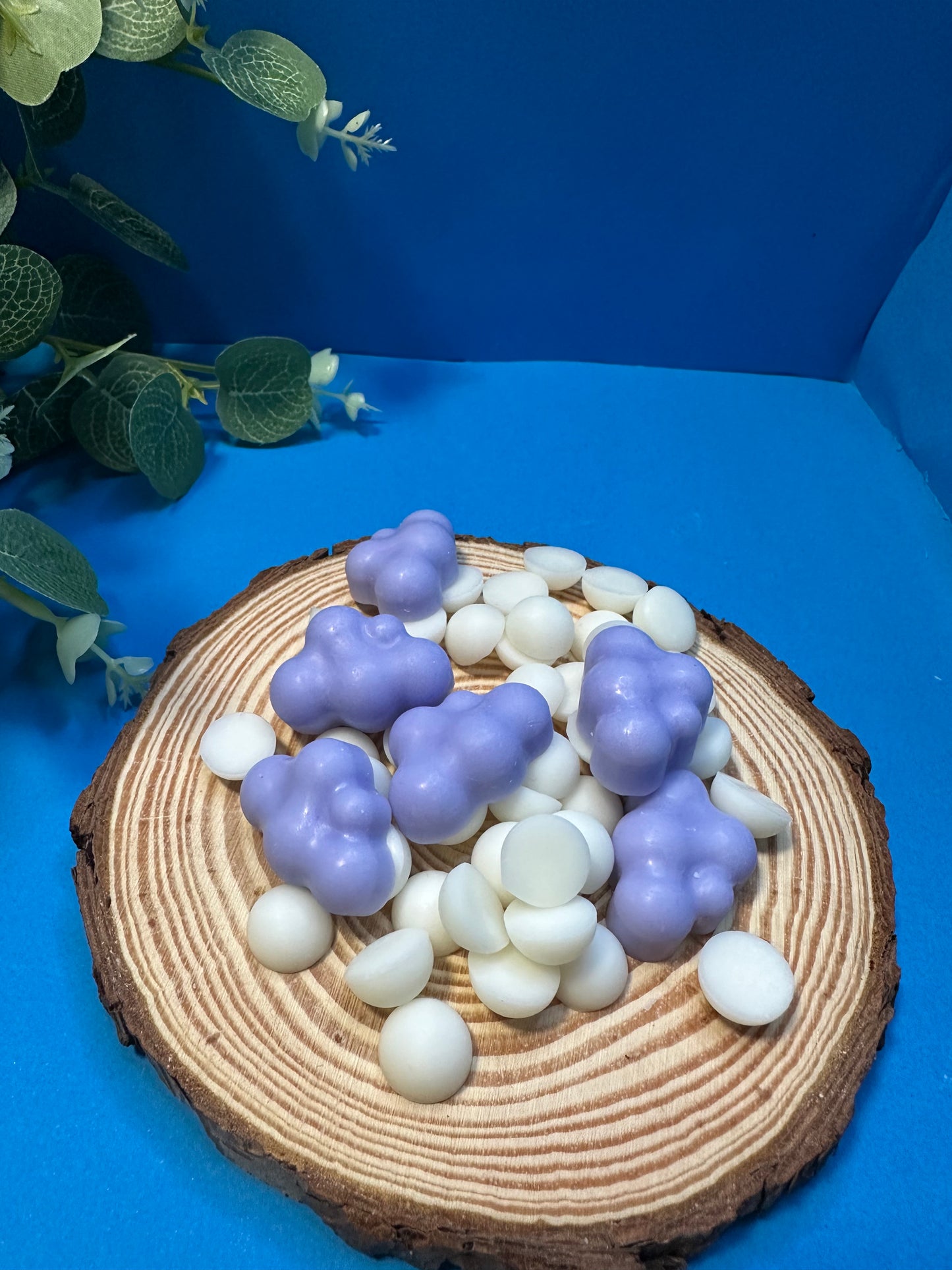 wax melts - LAVANDA