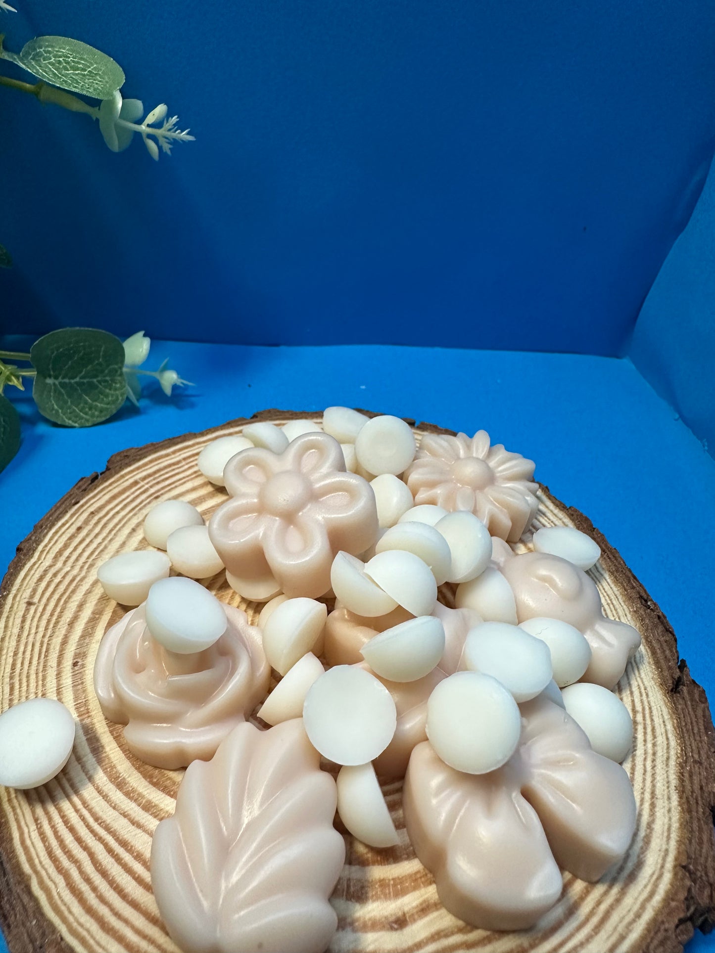 wax melt - CARICIA DE SEDA
